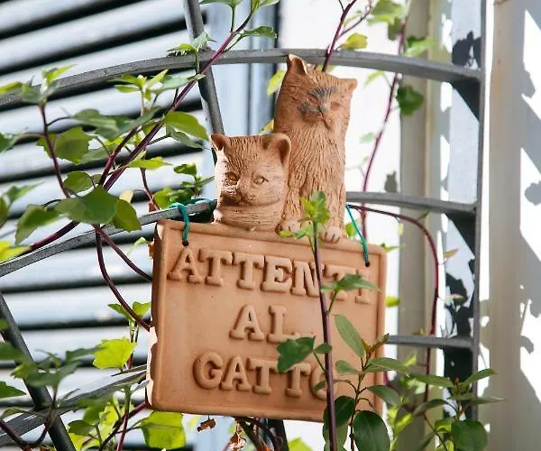 Casa Matys Appartement