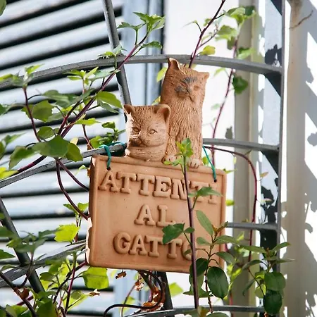 Casa Matys アパート
